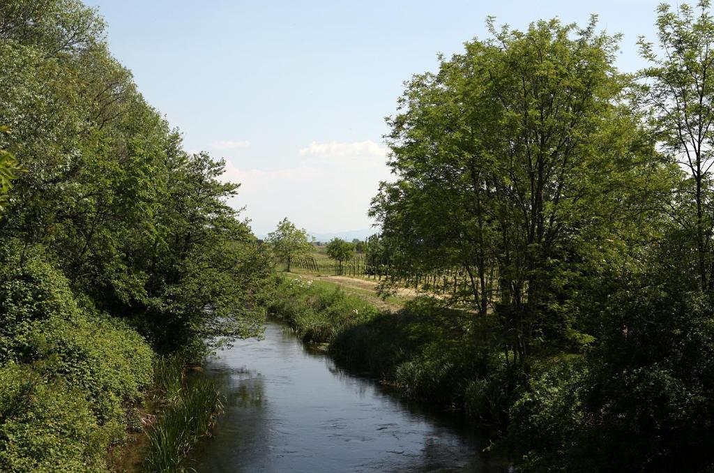 Agriturismo La Rosta Cervignano del Friuli Εξωτερικό φωτογραφία